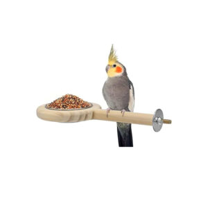 Perch Feeding Stand