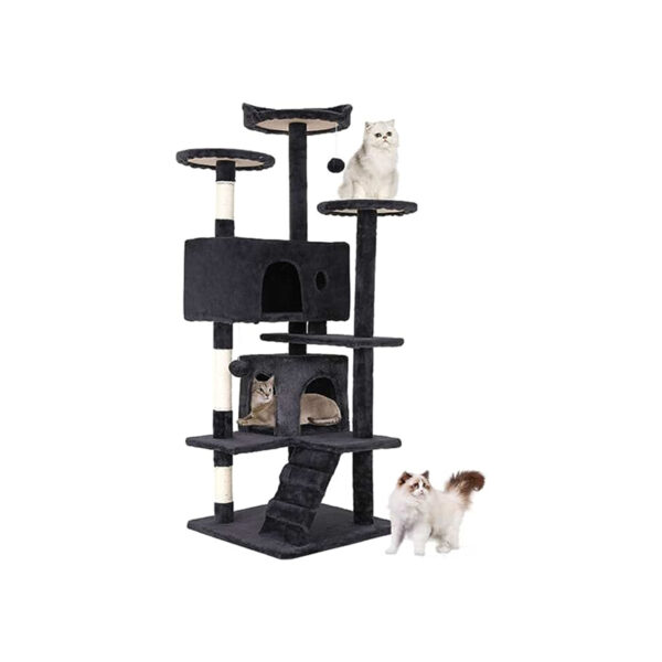 Kitty Fun Zone