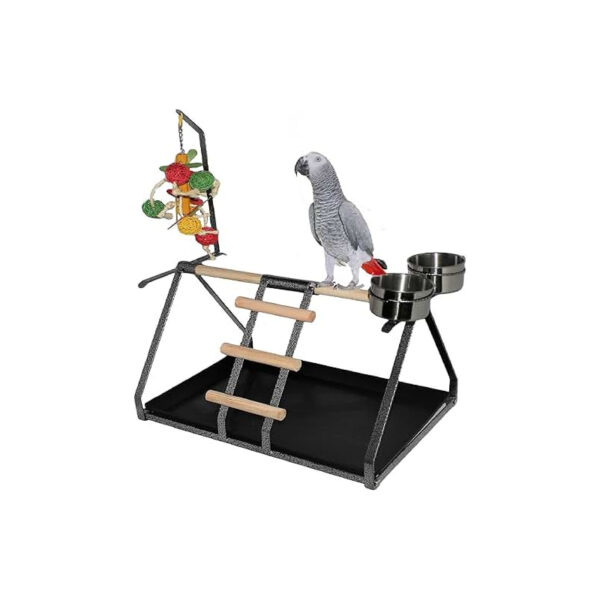 Bird Perch Stand