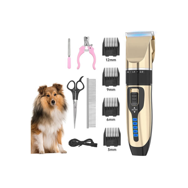 Professional Grooming Kit